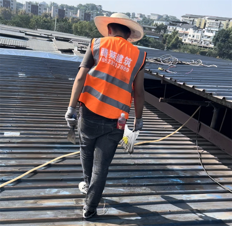 ���������������P�F(xi��n)����(sh��)��